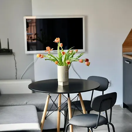 Cozy Sunny 阳光海滩